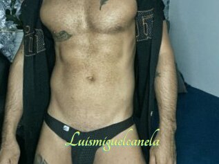 Luismiguelcanela
