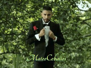 MateoCeballos