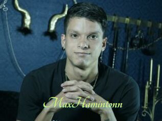 MaxHamintonn
