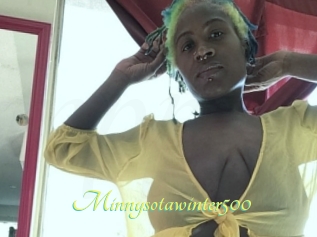 Minnysotawinter500