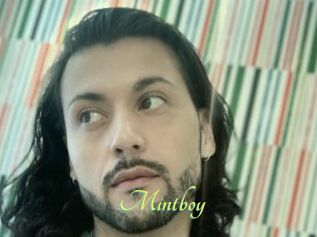 Mintboy