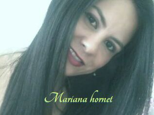 Mariana_hornet