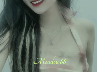 Meadow88