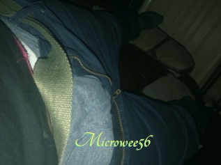 Microwee56