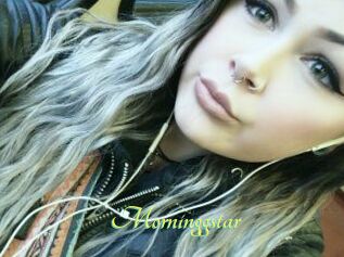 Morninggstar