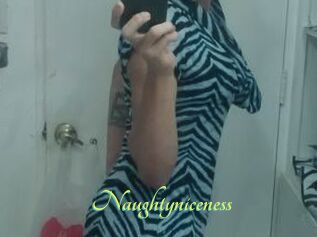 Naughtyniceness