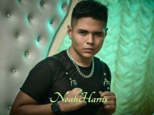 NoahHarris
