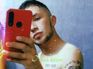 Noah_kitten