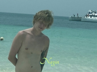 Nagin