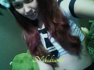 Nakidturtle