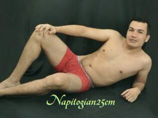 Napitogian25cm