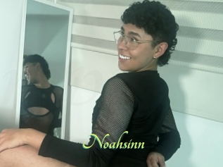Noahsinn