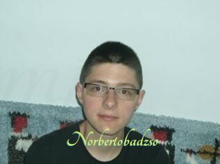 Norbertobadzso