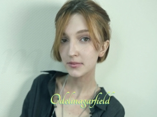 Odelinagarfield