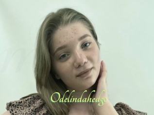Odelindahedge