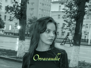 Orvacaudle
