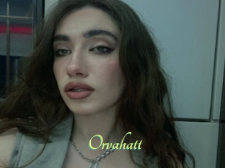 Orvahatt