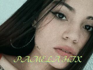 PAMELA_HTX