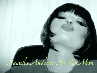 PamellaAndersonForVipMan