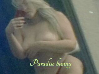 Paradise_bunny