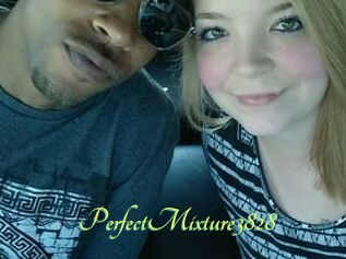 PerfectMixture3828