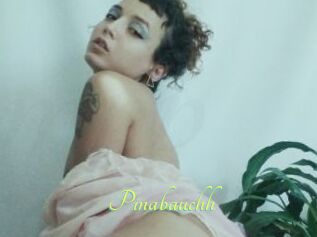 Pinabauchh