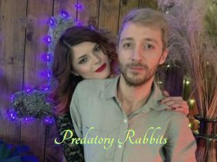 Predatory_Rabbits