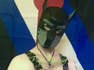 PupMischief