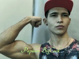 Papillon_BigCock