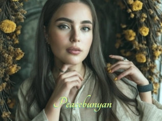 Peacebunyan