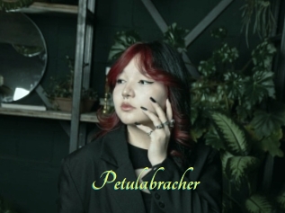 Petulabracher