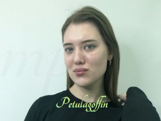 Petulagoffin