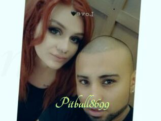 Pitbull8699