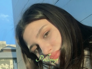 Pollimyr
