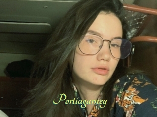 Portiagarney
