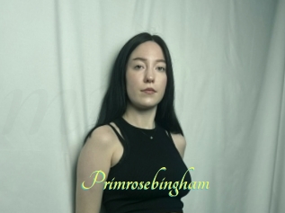Primrosebingham
