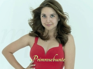Primrosebunte