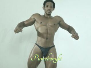 Pumebonyfit