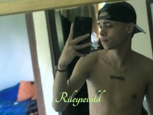 Rileyseiidd