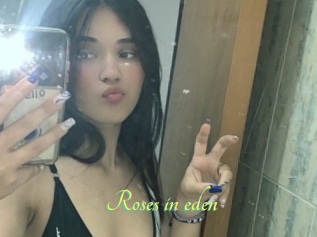 Roses_in_eden