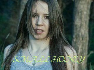 SMALL_HONEY