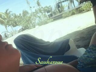Sassharosse