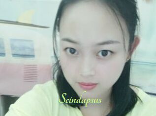 Scindapsus