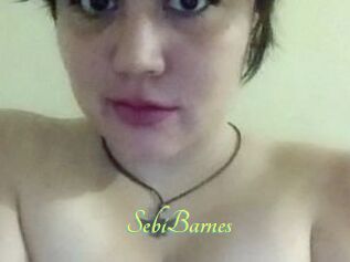 Sebi_Barnes