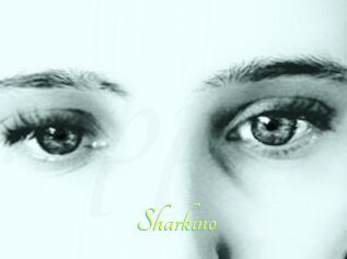 Sharkino