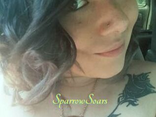 SparrowSoars
