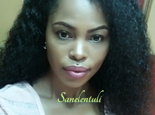 Sanelentuli