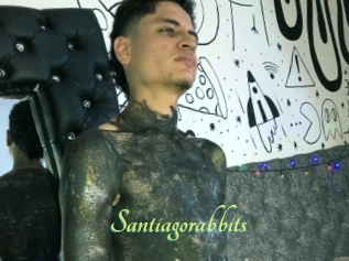 Santiagorabbits