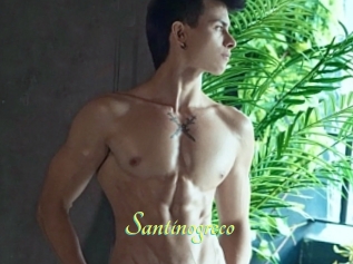 Santinogreco