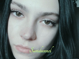 Saridunnel